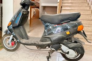 Zip piaggio