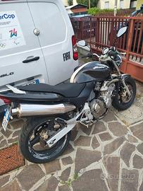 Hornet 600