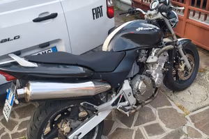 Hornet 600