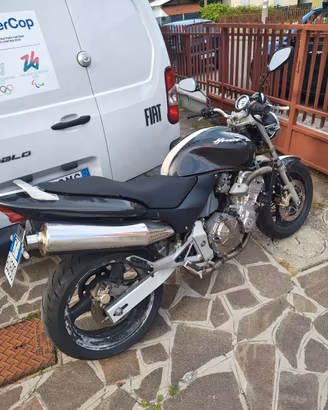 Hornet 600