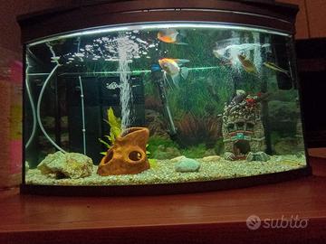 Acquario 80 litri completo 