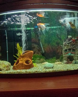 Acquario 80 litri completo 