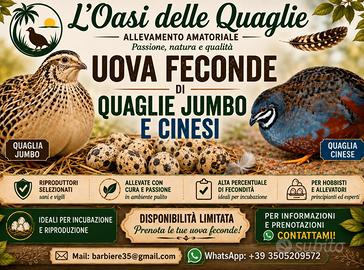 Quaglie
