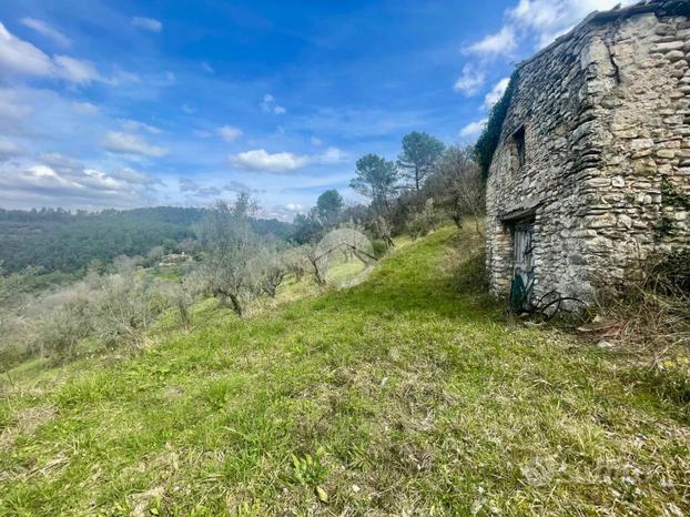 TER. AGRICOLO A TERNI