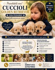 Golden Retriver