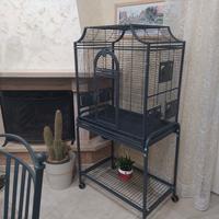 gabbia uccelli 