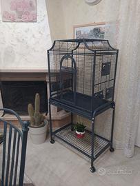 gabbia uccelli 