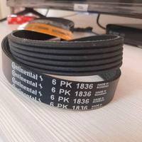 Cinghia servizi Fiat, Alfa Romeo Lancia