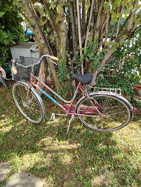 Bicicletta donna
