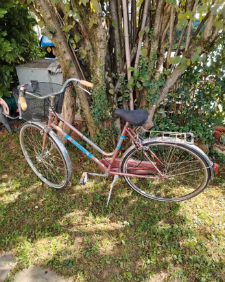 Bicicletta donna