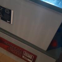 Due batterie nautica FIAMM 225 Ah 12 volt