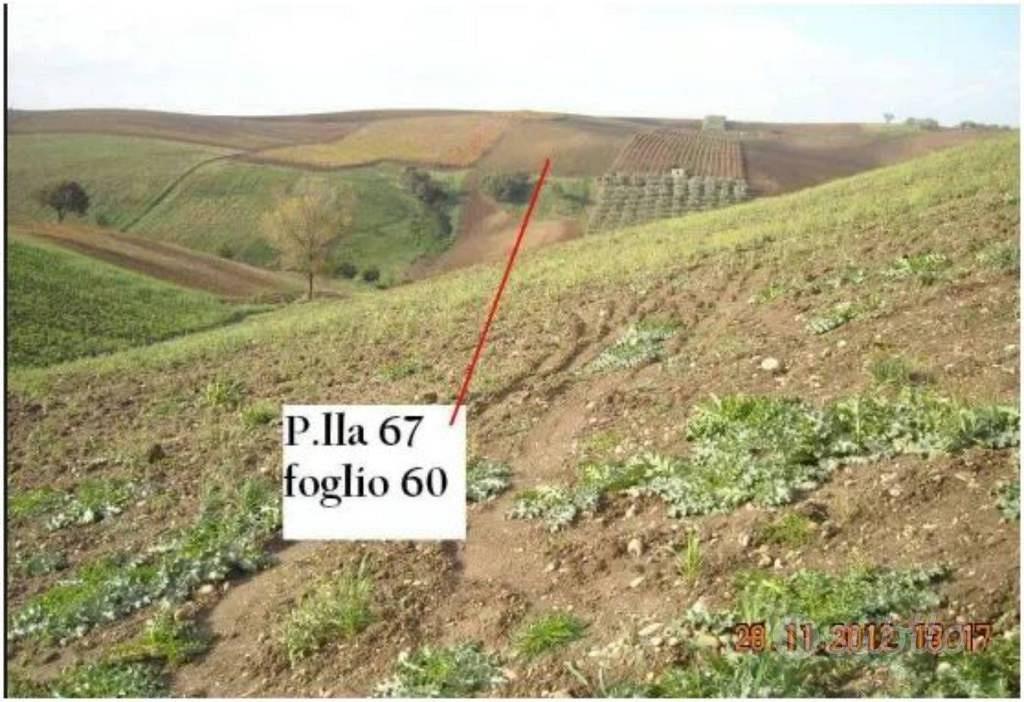 Immobile in asta di 65029 m² a Lavello - Vista 4
