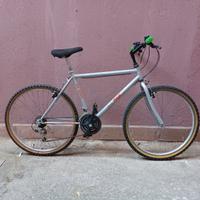 Bicicletta mtb ruote 26 polti