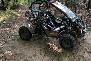 Pgo 250