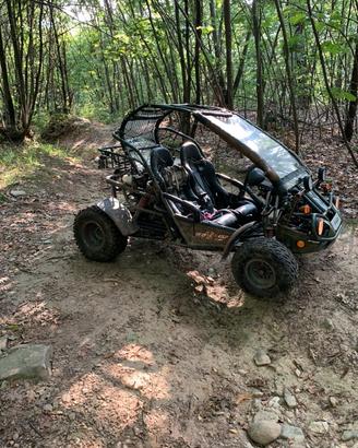 Pgo 250
