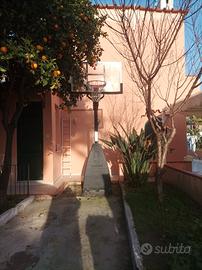 canestro regolabile spalding 