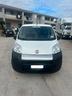 fiat-forino