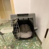 Cuccia grande per trasporto animale