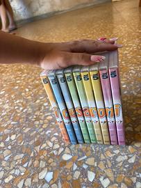 Dvd saga i cesaroni