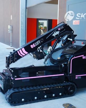 Mini gru (Pick&Carry) BG Lift M 100