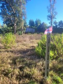 Terreno 5 passi zona Garigliano sessa aurunca