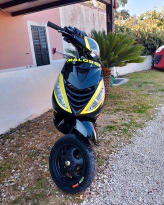 zip sp Piaggio 