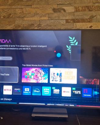55u62kq hisense tv 55" mini led - RICAMBI