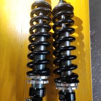 Sospensioni regolabili posteriori universali