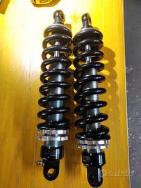 Sospensioni regolabili posteriori universali