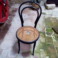Sedie Thonet