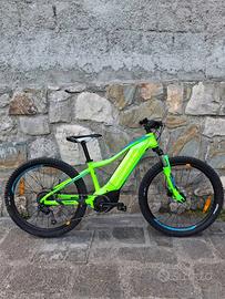 Giant FathonE+Junior