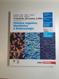 Il carbonio, gli enzimi, il DNA – Chimica organica