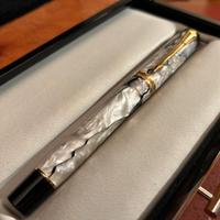 Penna Stilografica Parker Duofold in oro 