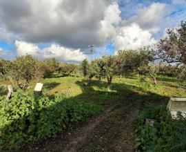 Trib. di Marsala-RG 152/2024 Terreno in asta