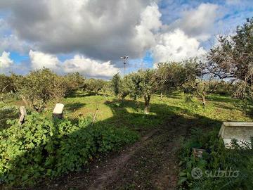 Trib. di Marsala-RG 152/2024 Terreno in asta