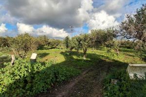 Trib. di Marsala-RG 152/2024 Terreno in asta