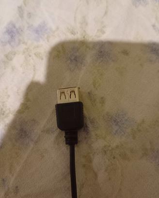 Cavo prolunga USB-A