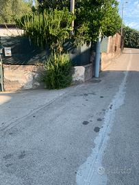 Proprietà commerciale con cortile e magazzino