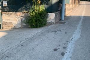 Proprietà commerciale con cortile e magazzino