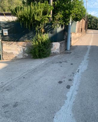 Proprietà commerciale con cortile e magazzino