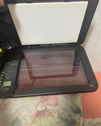 Stampante HP