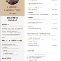 Barman/barista/cameriere