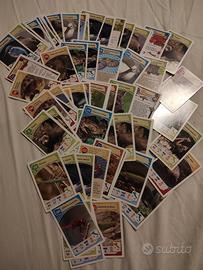 carte Coop Legambiente 
