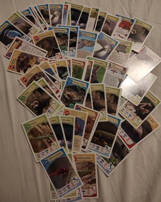 carte Coop Legambiente 