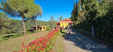 Podere az agricola in TOSCANA