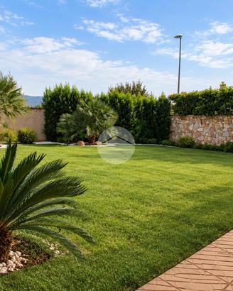 5 LOCALI A MONTALTO UFFUGO