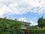 Immagine 11
