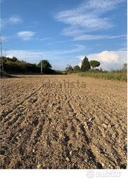Terreno agricolo Tarquinia