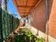 Immagine 15