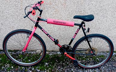 Bici Mountain bike modello Top Gun